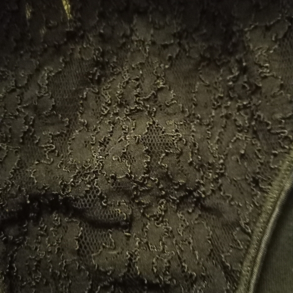 Not new,never worn black mesh & lace front& cotton back bikini panties size 6. - Picture 2 of 2